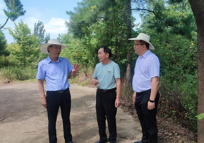 ��˾�����_չ�h�T�ɲ�